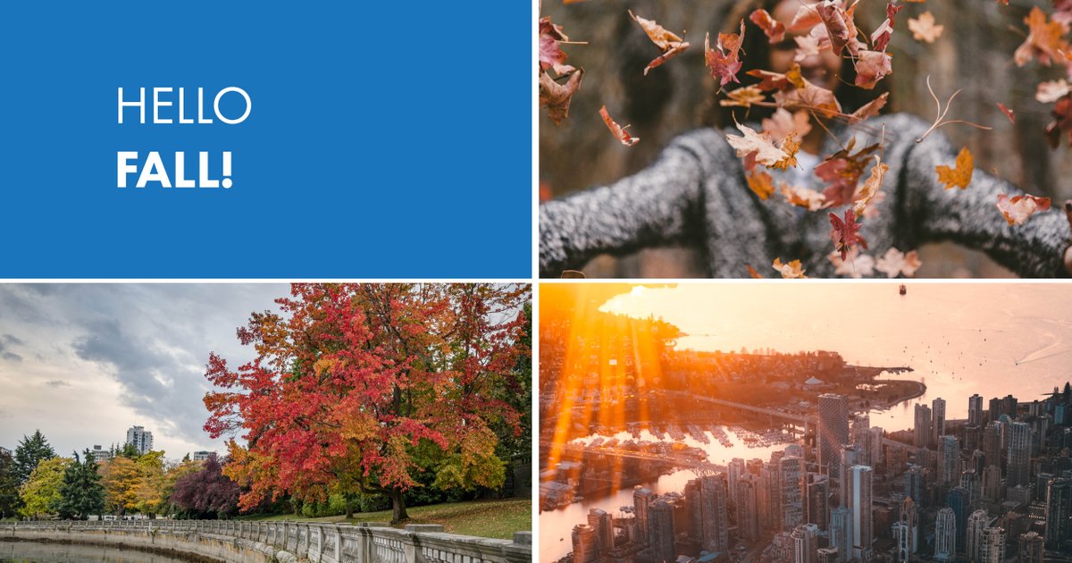 Is there a drink you like during fall?

One of the most popular for Vancouverites is London Fog! Considering this drink was created in a local cafe in Vancouver, it is not surprising.