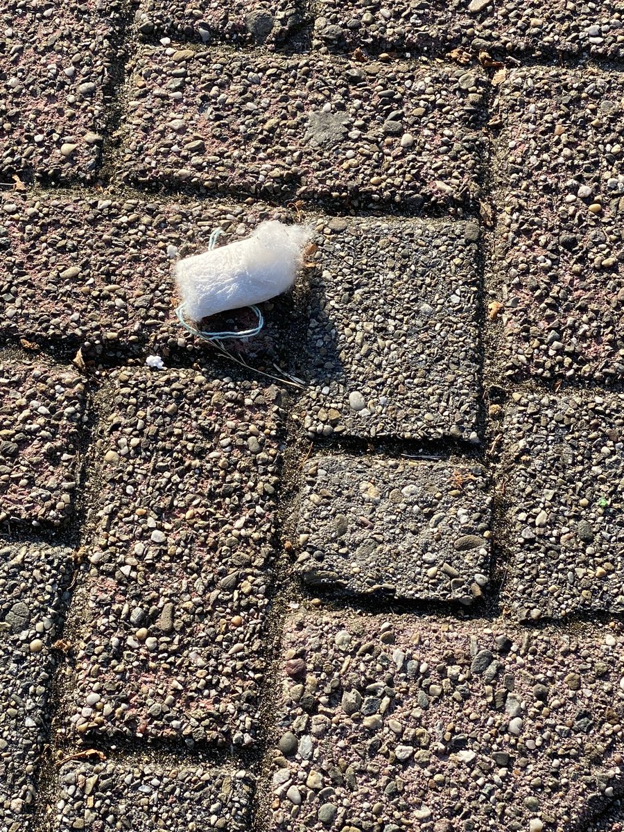 Wat is dit nou toch voor raar vuurwerk 🤣