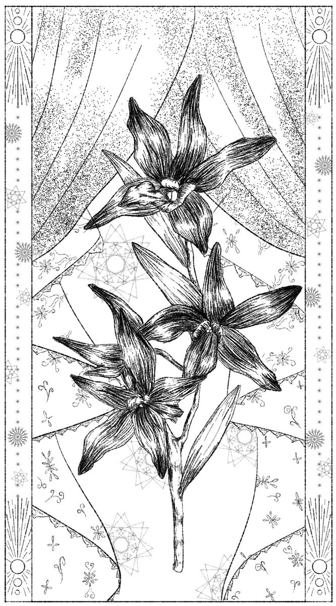 本日の落書き134日目👏🏽

Dendrobium

#イラスト #デジタルイラスト 
#イラスト好きな人と繋がりたい 
#絵描きさんと繋がりたい 
#illust #art #drawing #artwork 