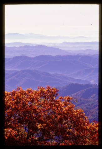 dpla's tweet photo. Why not celebrate today's #AutumnalEquinox by cozying up with a book? Henry David Thoreau's Autumnal Tints is one of more than 10,000 #ebooks available for #free from our #OpenBookshelf.
Find it here: https://t.co/CP3TMybHhF
Img: @ncdhc https://t.co/G6bKe33o4Q