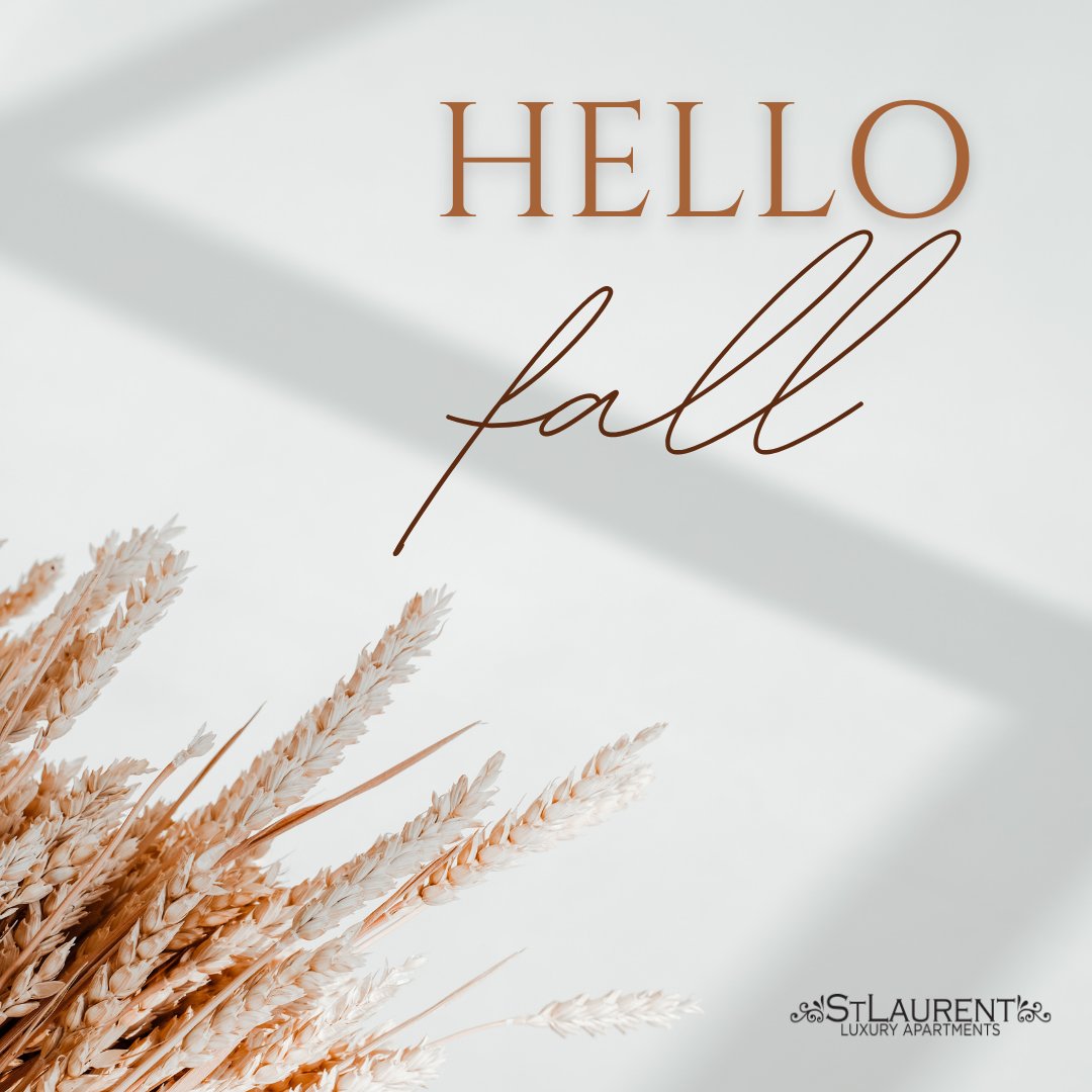 St. Laurent Luxury Apartments (StLaurentLuxApt) Twitter