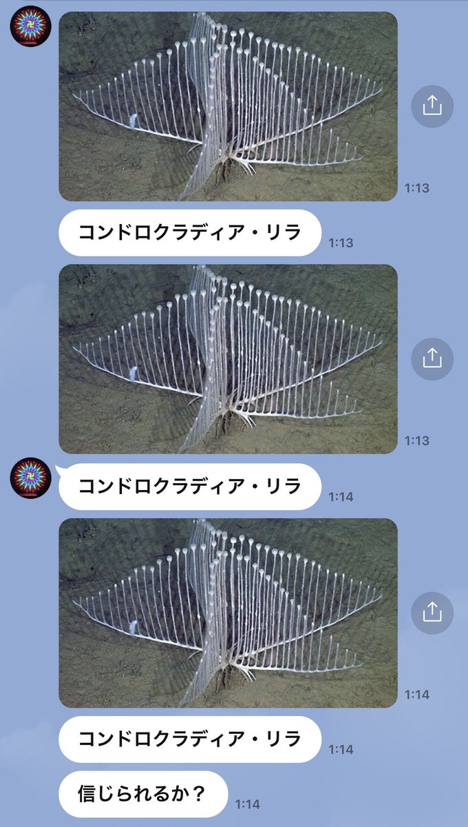 メタこ 依頼募集 Metakobot Timeline The Visualized Twitter Analytics