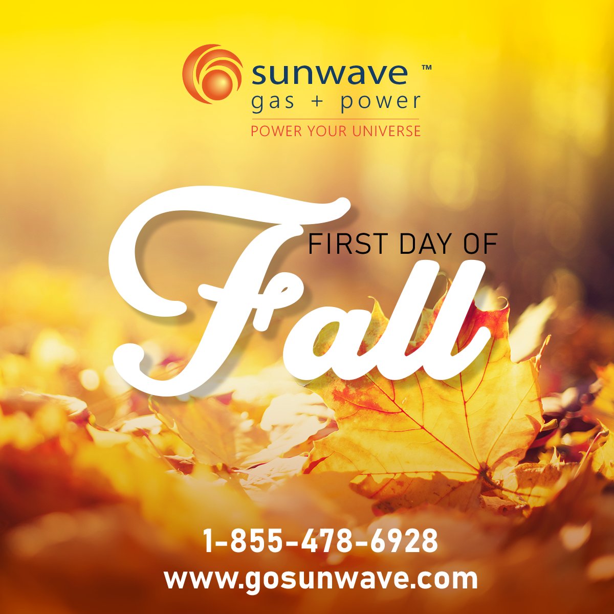 Go_Sunwave's tweet photo. The leaves are falling, and something smells nice. It’s the wonderful scent of warm pumpkin spice. 
 
Happy First Day of Fall from our team at Sunwave Gas + Power!
 
#pumpkinspice #Fallvibes #Leavesfalling #coolweather 

1-855-SUNWAVE (1-855-478-6928)  https://t.co/HMMX22fvhZ https://t.co/1zuYtvtKRe