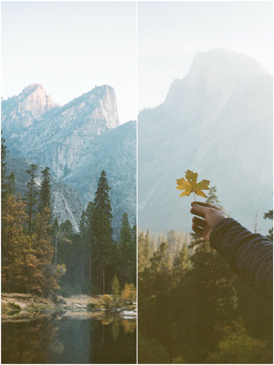 MissRoverTravel's tweet photo. fall in Yosemite on film https://t.co/MSpKmH0oIs