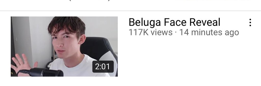 beluga cat face reveal 