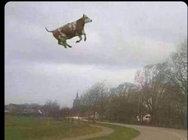 brasilnagringa's tweet photo. Ta ventando tanto em Botucatu que por um momento achei que estivesse em Boi nos ares, na Argentina https://t.co/PBUlXYQeMO
