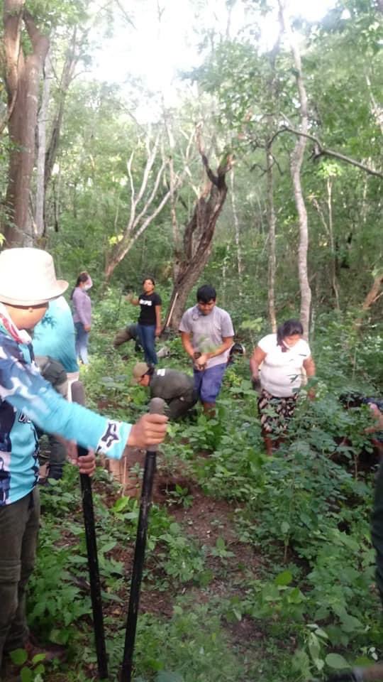 El gobierno de Huatulco a través de la dirección de Ecología, participó junto a ciudanía y colaboradores del Parque Nacional, en la novena Jornada de Reforestación Municipal, llevada a cabo en el Paraje El Sabanal, ubicado en el interior del Parque Nacional Huatulco.