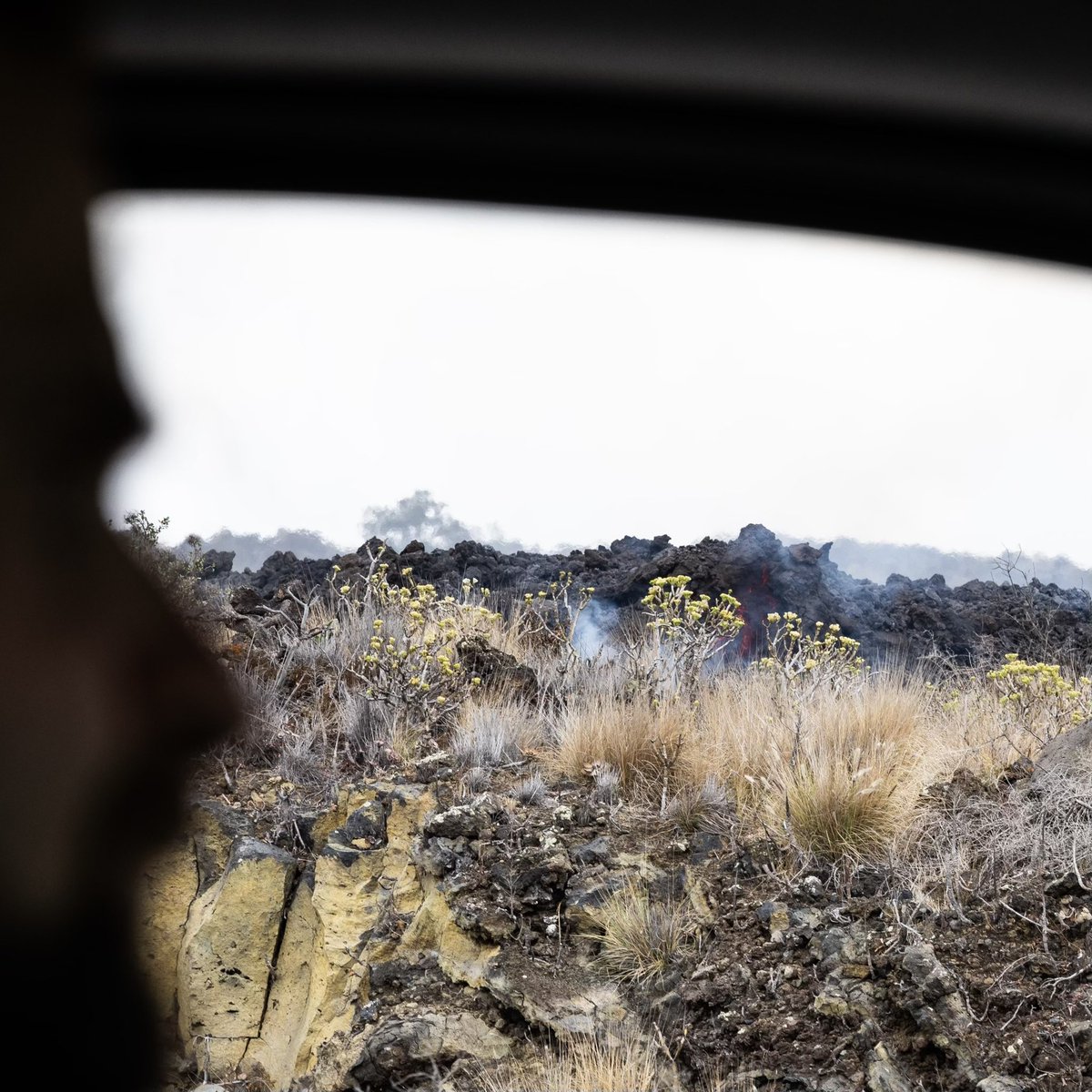 Early this morning @WCKitchen #ChefsForLaPalma team headed to the towns of Los Llanos and El Paso to feed residents and first responders. Today our chefs are cooking Guiso Fiesta….a traditional meat dish from the Canary Island…plus bocadillos. #ErupciónLaPalma