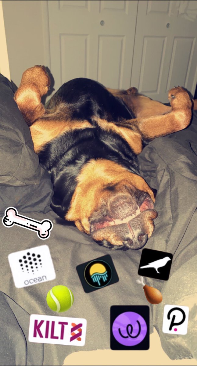 Zoey (@Zo_3000xo) on Twitter photo 2021-09-22 16:27:42 This is how she sleeps when she’s having amazing dreams about $KILT $Movr $dot $ocean $ksm $ewt and other doggy stuff 😅
#KILTProtocol #MOVRmovement #wednesdaythought #buythedip #Rottweiler #SweetDreams This is how she sleeps when she’s having amazing dreams about $KILT $Movr $dot $ocean $ksm $ewt and other doggy stuff 😅
#KILTProtocol #MOVRmovement #wednesdaythought #buythedip #Rottweiler #SweetDreams