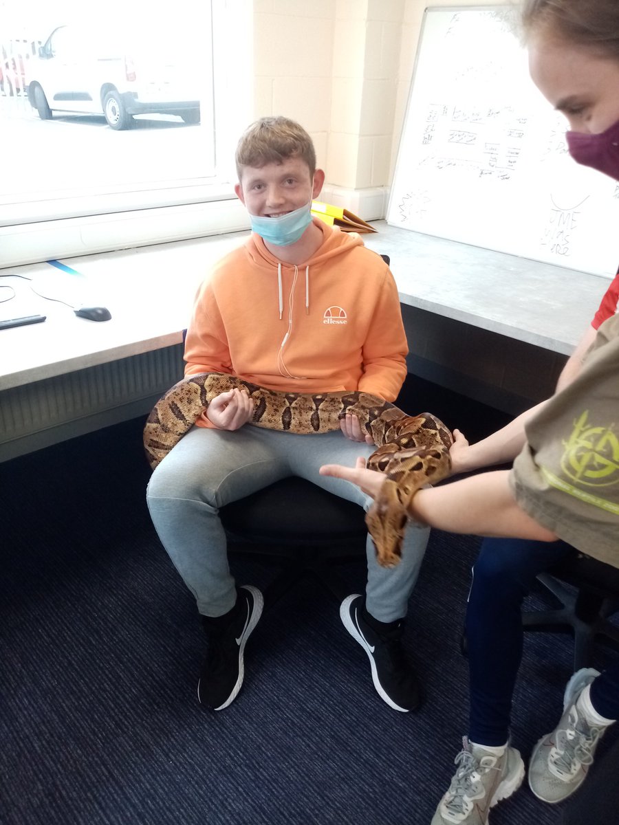 WYTECCTC's tweet photo. A great day thanks to @natreptilezoo for showing us some of the exotic and interesting reptiles and spiders at their centre. We really enjoyed the session and thanks to @nalaireland for their support in hosting the day @WWETBofficial @iacto5 #reptiles #snakes #tarantula #turtles https://t.co/IqE8QelGeN