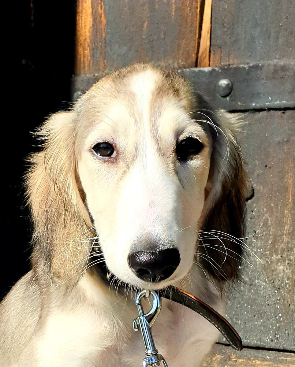 WTirith's tweet image. 