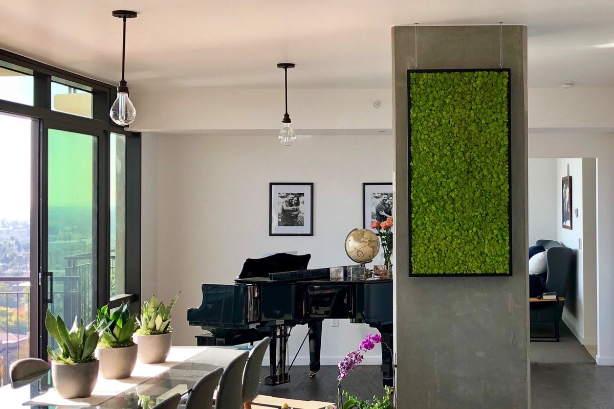 plantsolutions's tweet image. We design and install your #WallMossyArtwork and all you do is enjoy the beauty of nature indoors. 

For your plant InteriorDesign solutions tune in to #PlantSolutions: 

qoo.ly/3e7iey

#IndoorPlants