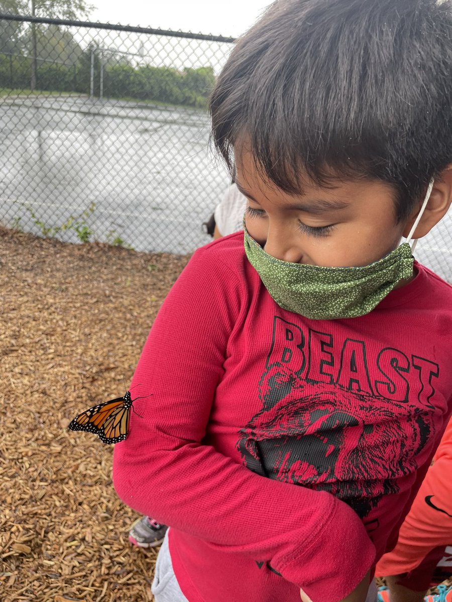 MrsByrne2nd's tweet photo. So long, monarch butterfly! We tried to release the butterfly on a tree since it was raining, but it had other ideas and landed on one of our friends! @FCPSScience https://t.co/kU3cEfxiJw