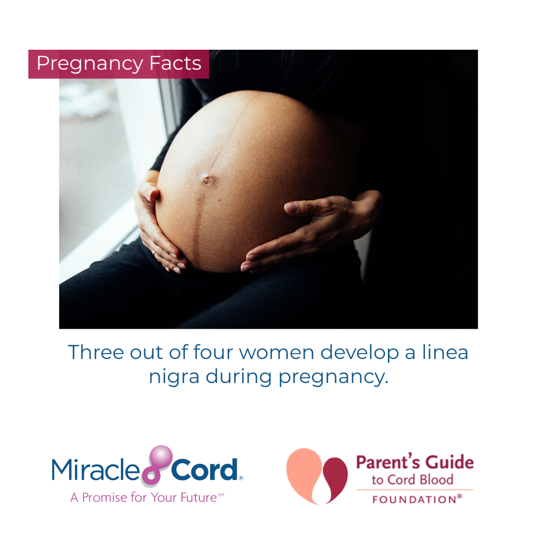 The linea nigra (Latin for 'black line') is a dark, vertical line that runs down the abdomen. As hormones level out, the linea nigra will fade in most women. In rare cases, it may never fade completely. #pregnancy #newborn #cordbloodbank #birthplan #cordblood #cordtissue