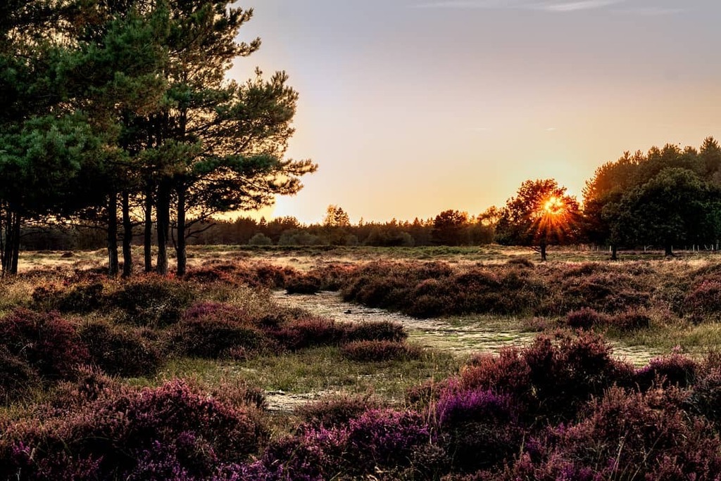 5050view tweet media