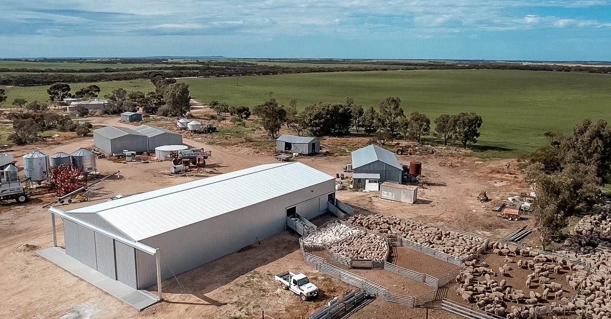 There’s a strong demand for modern shearing sheds. We’re thrilled with our latest.🐑🐏🐕 

cockaleechieindustries.com.au