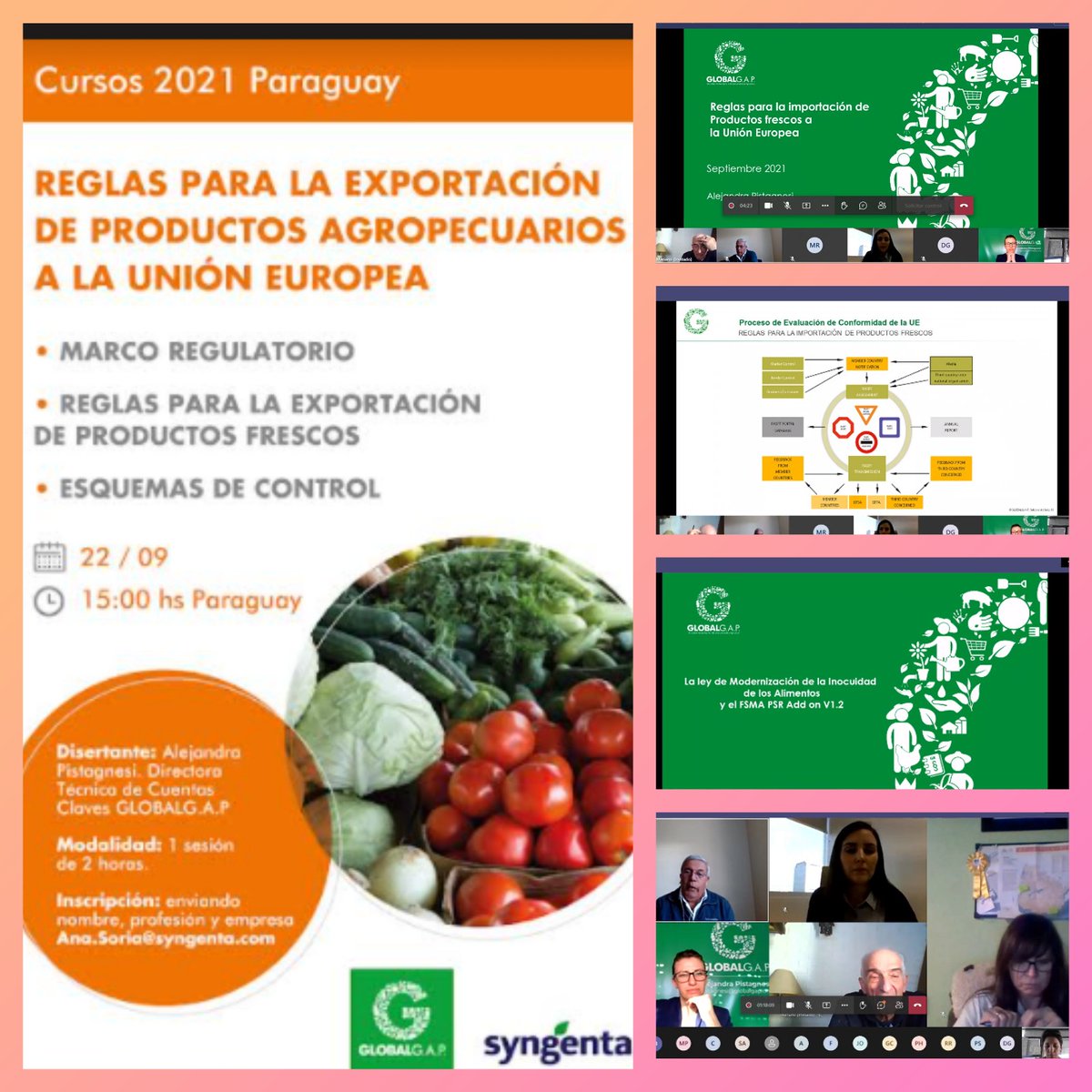 Reglas para la exportación de productos agropecuarios a la Unión Europea.@PistagnesiAleja @Syngenta @GLOBALGAP @JaquieBecerra  #bpa