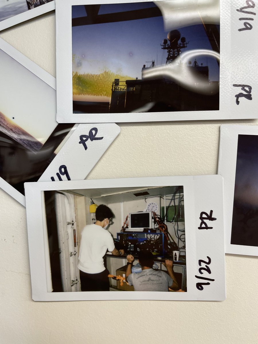 PLUME RAIDERS (RR2106) tweet media