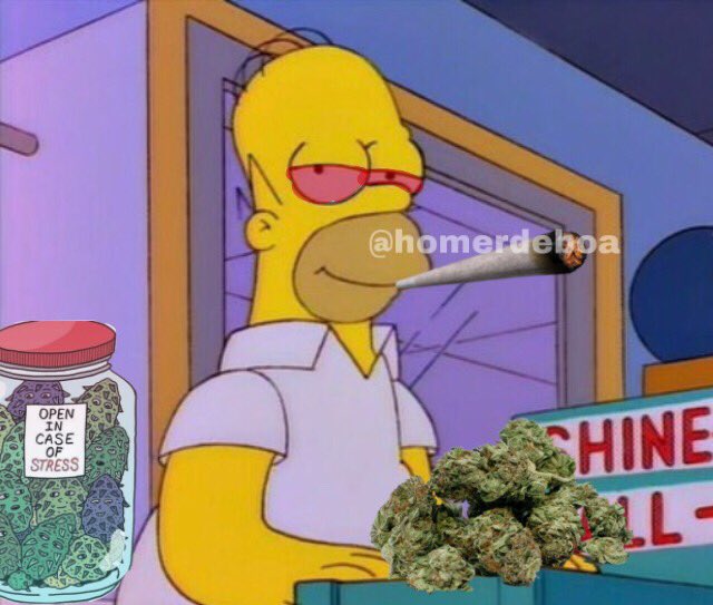 DeBoaHomer's tweet photo. Só Noite 
Porque Boa é a maconha que eu to fumando https://t.co/cyEA9dpRzG