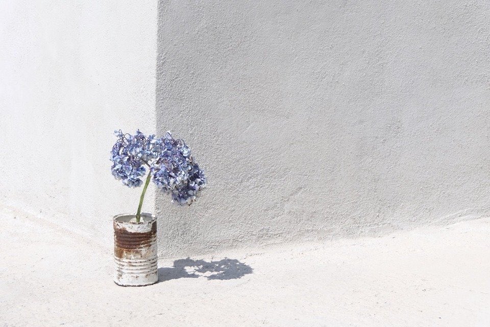 Stefan Zweig der ki, Bir kez kendini bulmuş olan kişinin bu yeryüzünde yitirecek bir şeyi yoktur artık ve bir kez kendi içindeki insanı anlamış olan, bütün insanları anlar.