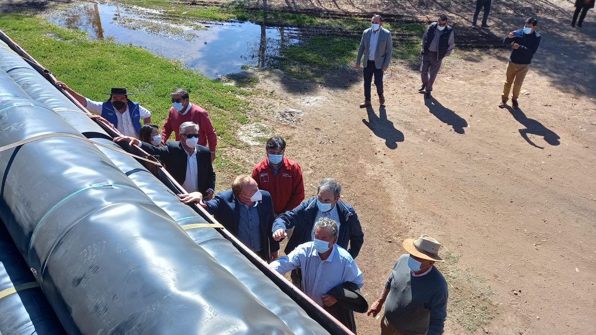 Pablo Herman tweet media