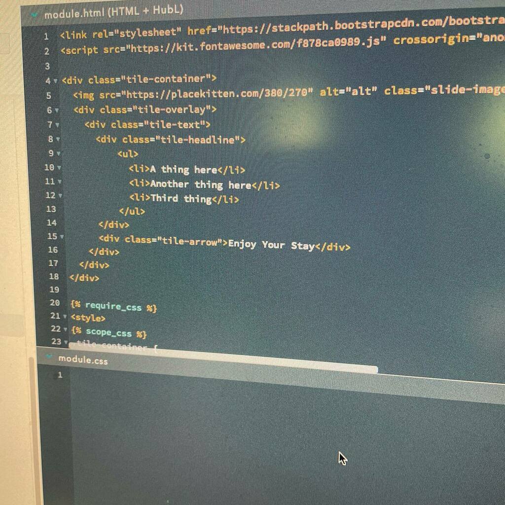 Elise Gaetz Ferguson tweet media