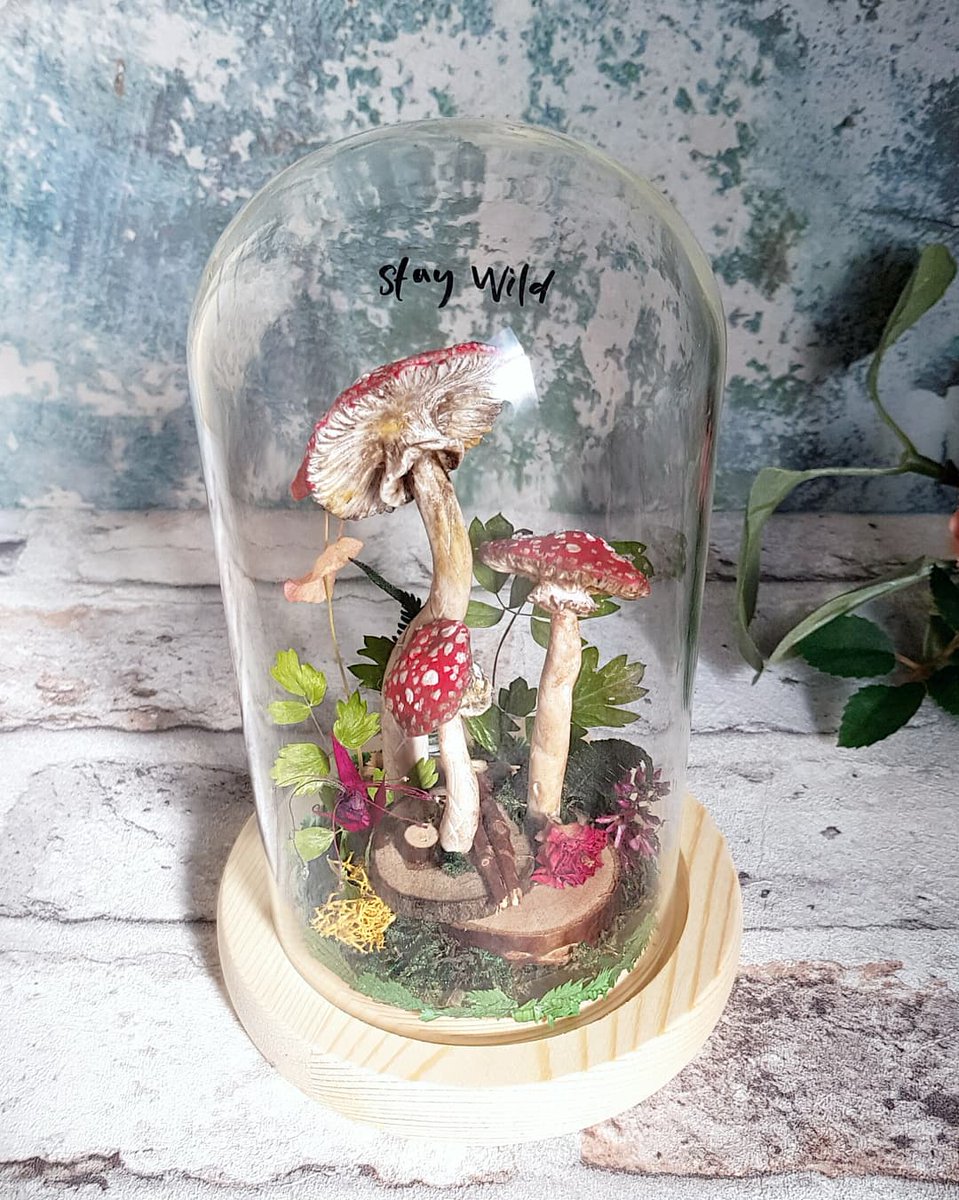 It's been so long since I posted here! I have some updates! I've been playing around with new ideas, and here's one of them! Clay mushroom domes ❤ keep your eyes peeled! #maiaandthewildflower #QueenOf #SBSwinner #wildflowers #fimo #clay #mushrooms #fungi #bohohippie #Goblin #fae