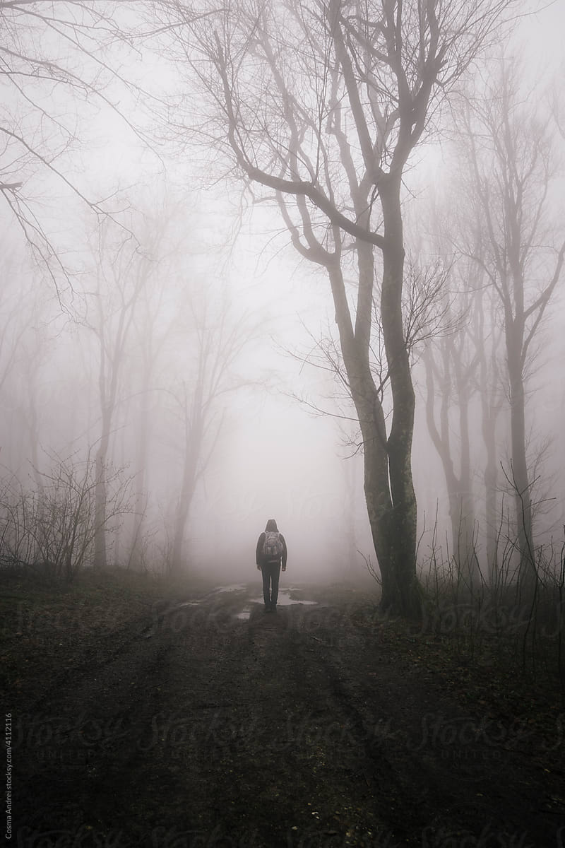 Haunted path
#forest #photography #treemagic #forestmagic #photocosma #mystery #art #fog #atmosphere