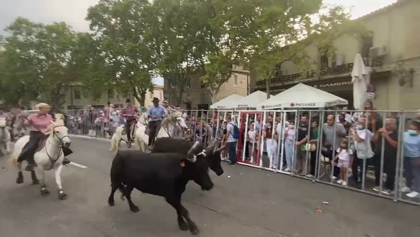 Feria de Nîmes : entre traditions et revendications

Ce samedi de Féria aura surtout été marqué par les revendications qui ont fusées de toutes parts de la ville, et ce ne sont pas les forces de l’ordre qui diront le contraire …

lengadoc-info.com/68874/art-de-v…