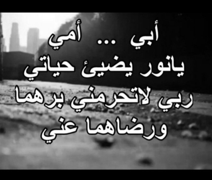 ياعلي ٢ tweet media
