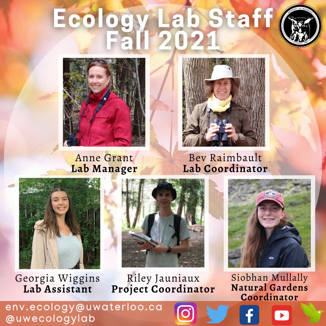 UWaterloo Ecology Lab 🌱 tweet media