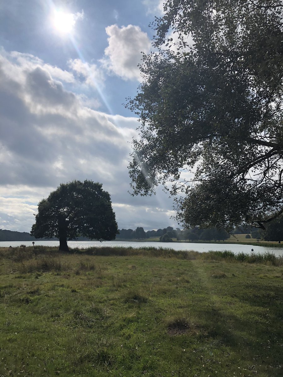 By Parallel Events (@byparallelevent) on Twitter photo Fabulous morning #netwalking with <a href="/freshwalks/">Freshwalks</a> met some great people and the sun was shining 💖#Wellbeing #clearsthehead #networking Fabulous morning #netwalking with <a href="/freshwalks/">Freshwalks</a> met some great people and the sun was shining 💖#Wellbeing #clearsthehead #networking