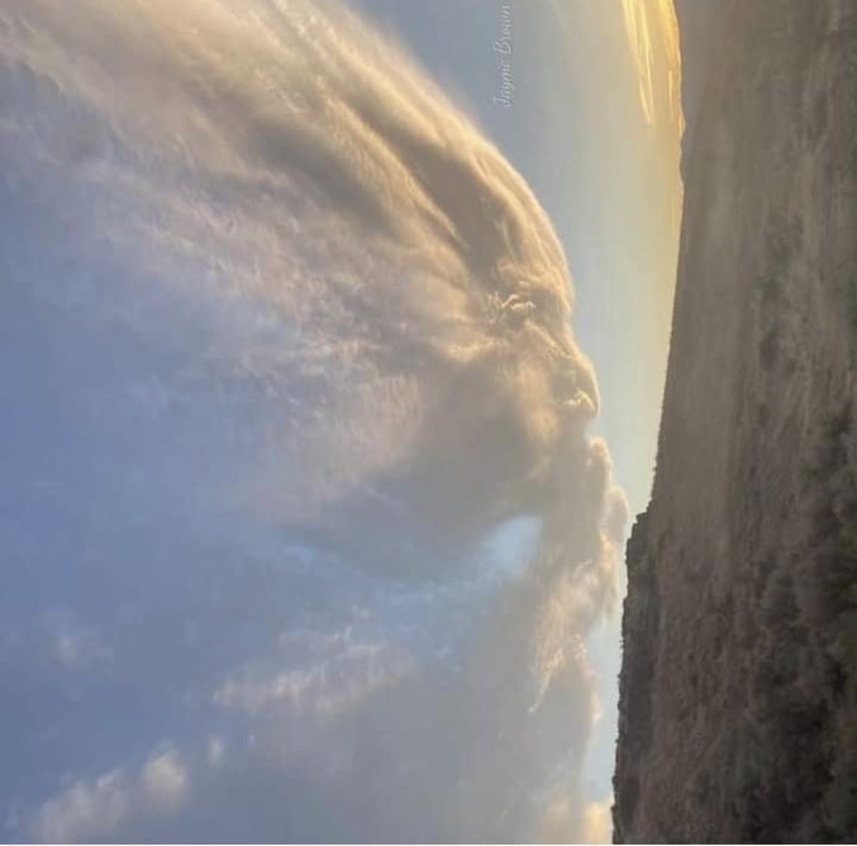 Sophia Myles tweet media