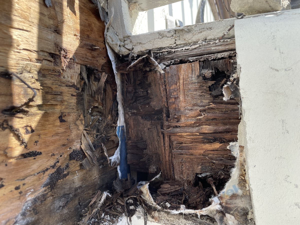 BldgScientist's tweet photo. Poor #stucco and #flashing details and you end up with something like this behind your cladding. 

#waterproofing #buildingscience https://t.co/S8HkG01kcJ