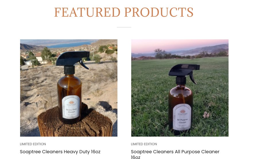 SoaptreeCleaner's tweet photo. Check out our new store! https://t.co/204EIzaBWO #entrepreneur #naturalcleaner https://t.co/OC9rXnhMUq