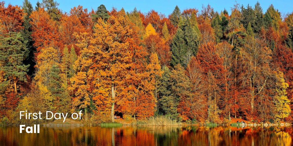 It's the first day of #Fall 🍂

Take the opportunity to capture the most beautiful fall colours over the next few days with your smartphone!

Tag us in shots for a chance to be featured! 📱

Discover our devices and plans: icewireless.com/en/wireless/de…

#FirstDayOfFall