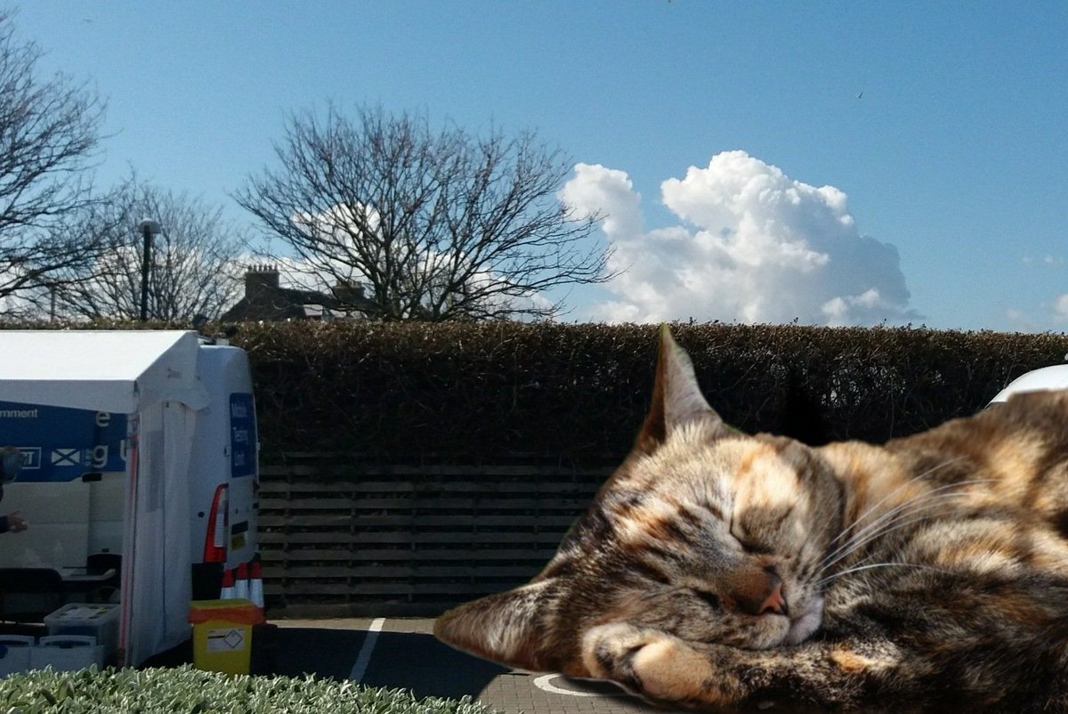 CatsGiant's tweet photo. ARCHIVE: submitted by: scottish_society_of_socialist_otters; mobile covid testing centre, Dunbar
๐56.004451,-2.517056; 1301hrs 14/04/21 https://t.co/yzWm751P14