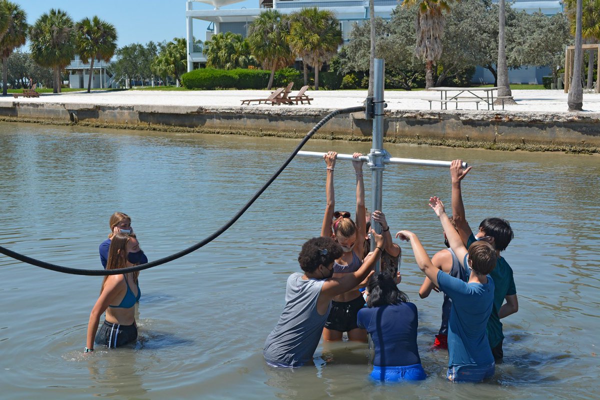 Eckerd College (@eckerdcollege) on Twitter photo Eckerd College geosciences faculty recently received a more than $380,000 <a href="/NSF/">U.S. National Science Foundation</a> grant to help recruit more students to the discipline. The funds will create more research opportunities for majors on big issues like marine pollution and climate science.
eckerd.edu/news/blog/geos… Eckerd College geosciences faculty recently received a more than $380,000 <a href="/NSF/">U.S. National Science Foundation</a> grant to help recruit more students to the discipline. The funds will create more research opportunities for majors on big issues like marine pollution and climate science.
eckerd.edu/news/blog/geos…