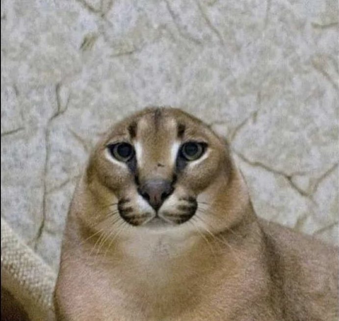 KyLigma's tweet photo. Face reveal https://t.co/39bF9akrWq