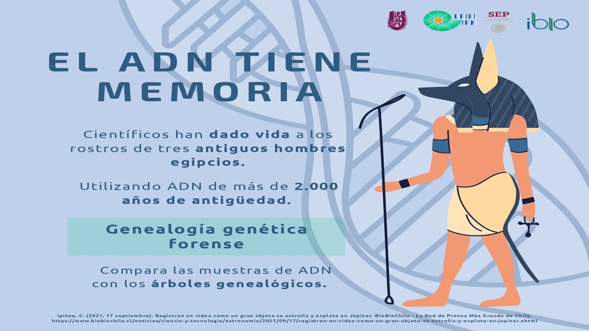 IbioRevista's tweet photo. El ADN tiene memoria 
#revistaibio #DNA #Biotechnology https://t.co/o1GbHzL3FC