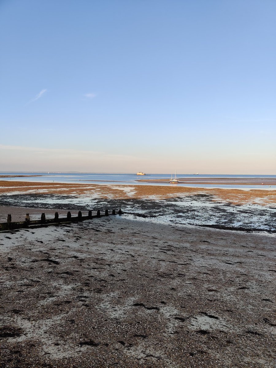 Very much enjoyed my walk in golden hour this evening!