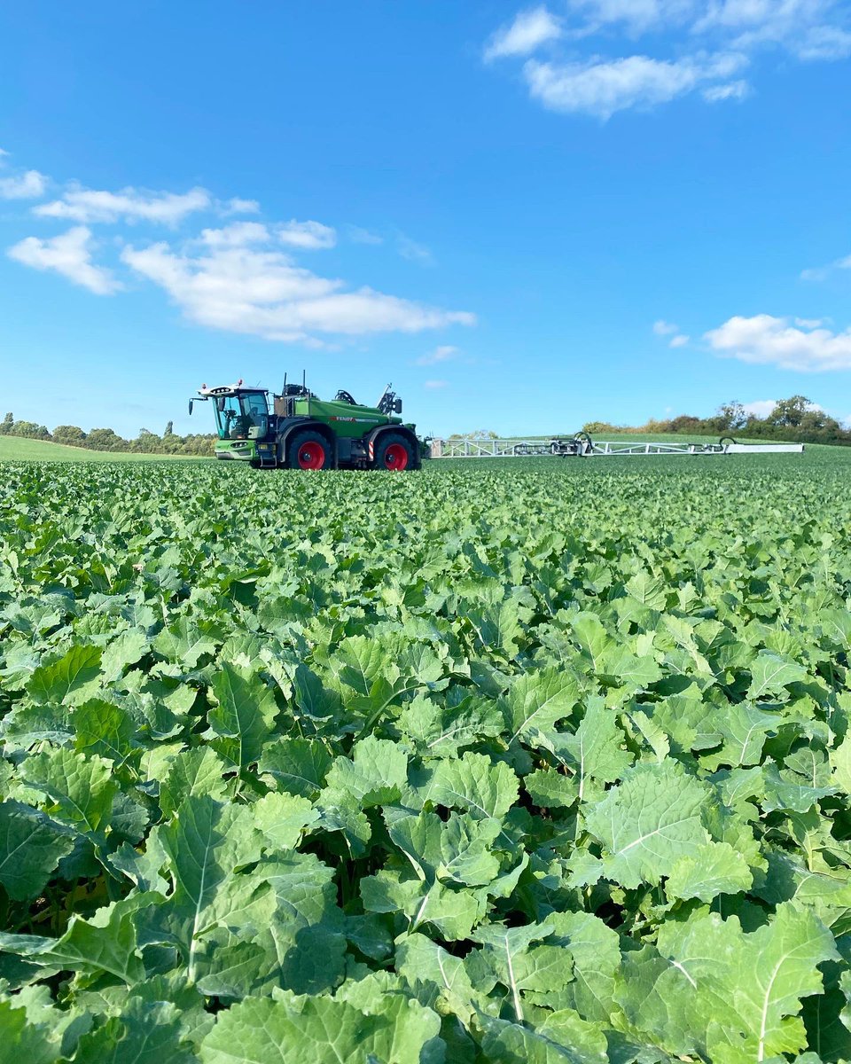 farmerangus1's tweet photo. Applying @BASFcropUK Caryx autumn PGR on to a super looking crop of @KWSUKLtd Campus drilled on the 28th July direct with a @VaderstadUK UK rapid. Caryx manages the canopy going forward &amp; increase stem thickness.The @Fendt_UKIreland Rogator steering the ship, awesome machine. https://t.co/3RK9q9XuC3
