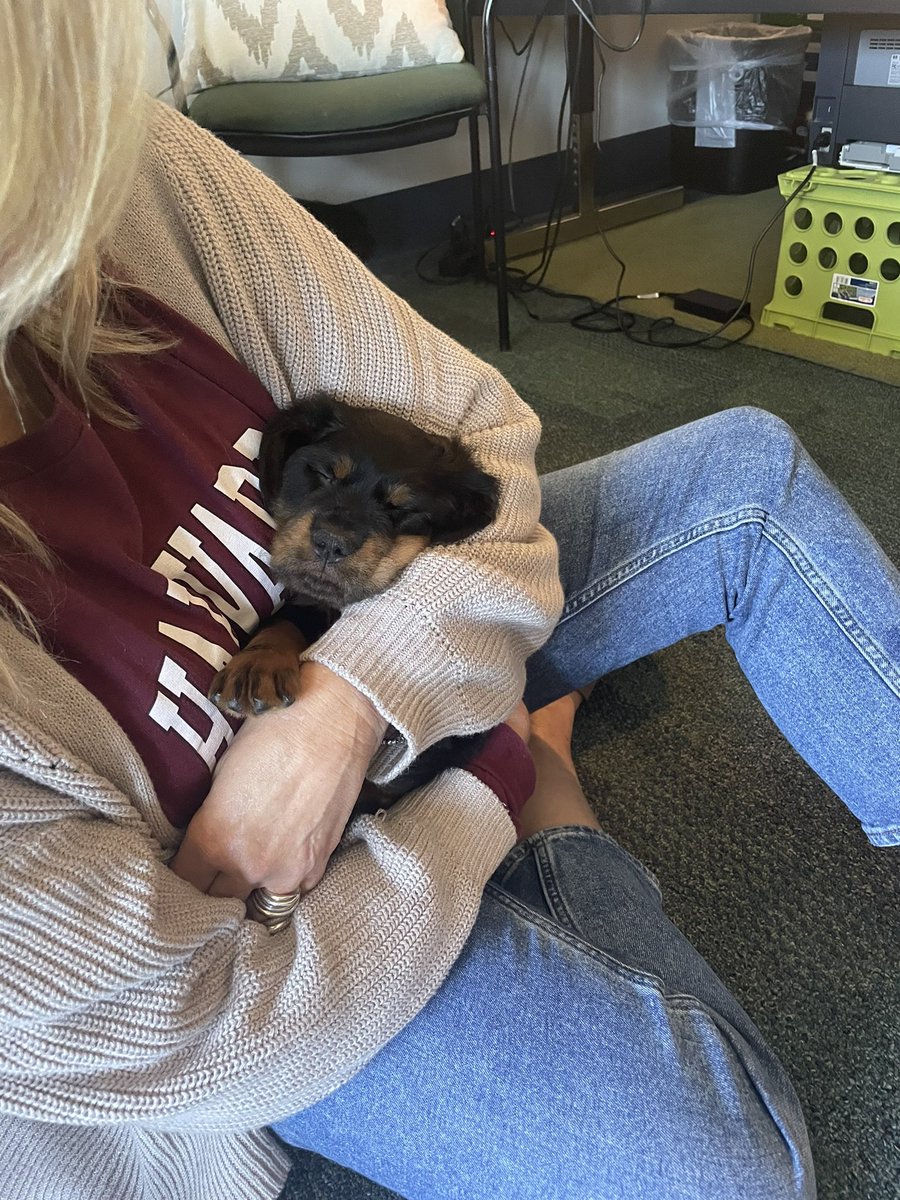 Marliss Allen tweet media