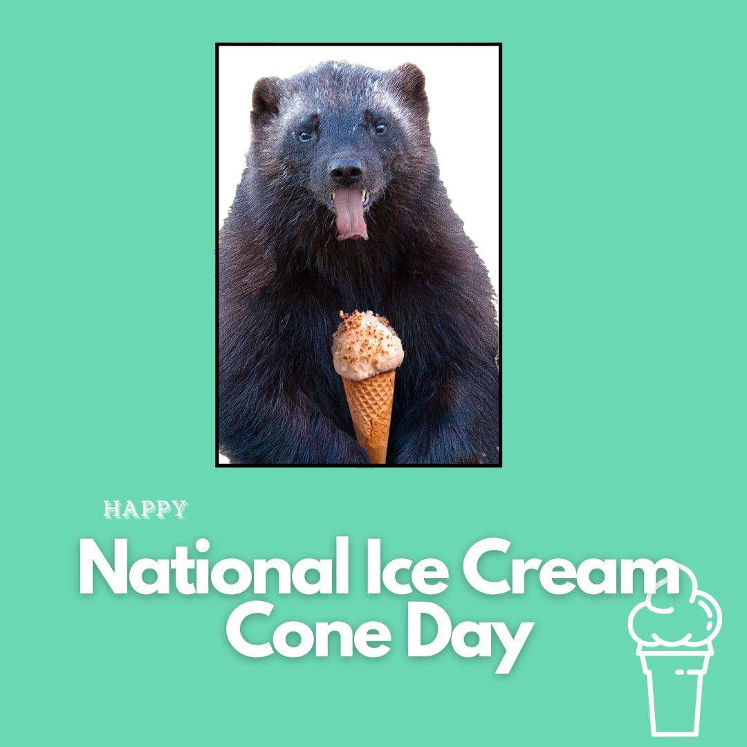 UVUCampusStore's tweet photo. The perfect cool off treat for any Wolverine! Scoops is ready to help you celebrate National Ice Cream Cone Day. Plenty of Ice Cream flavors to choose from. https://t.co/GKDqViapd4