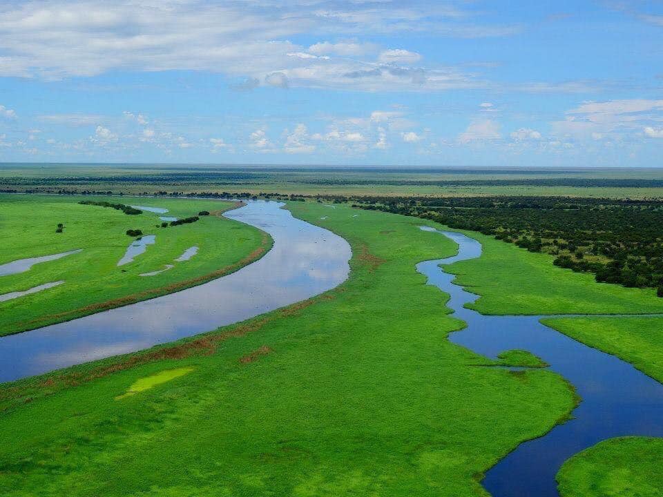 📍Gambella National Park, Ethiopia