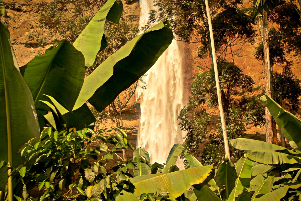 SamMusau1's tweet photo. Sipi falls! https://t.co/Uz0PnO7iN8