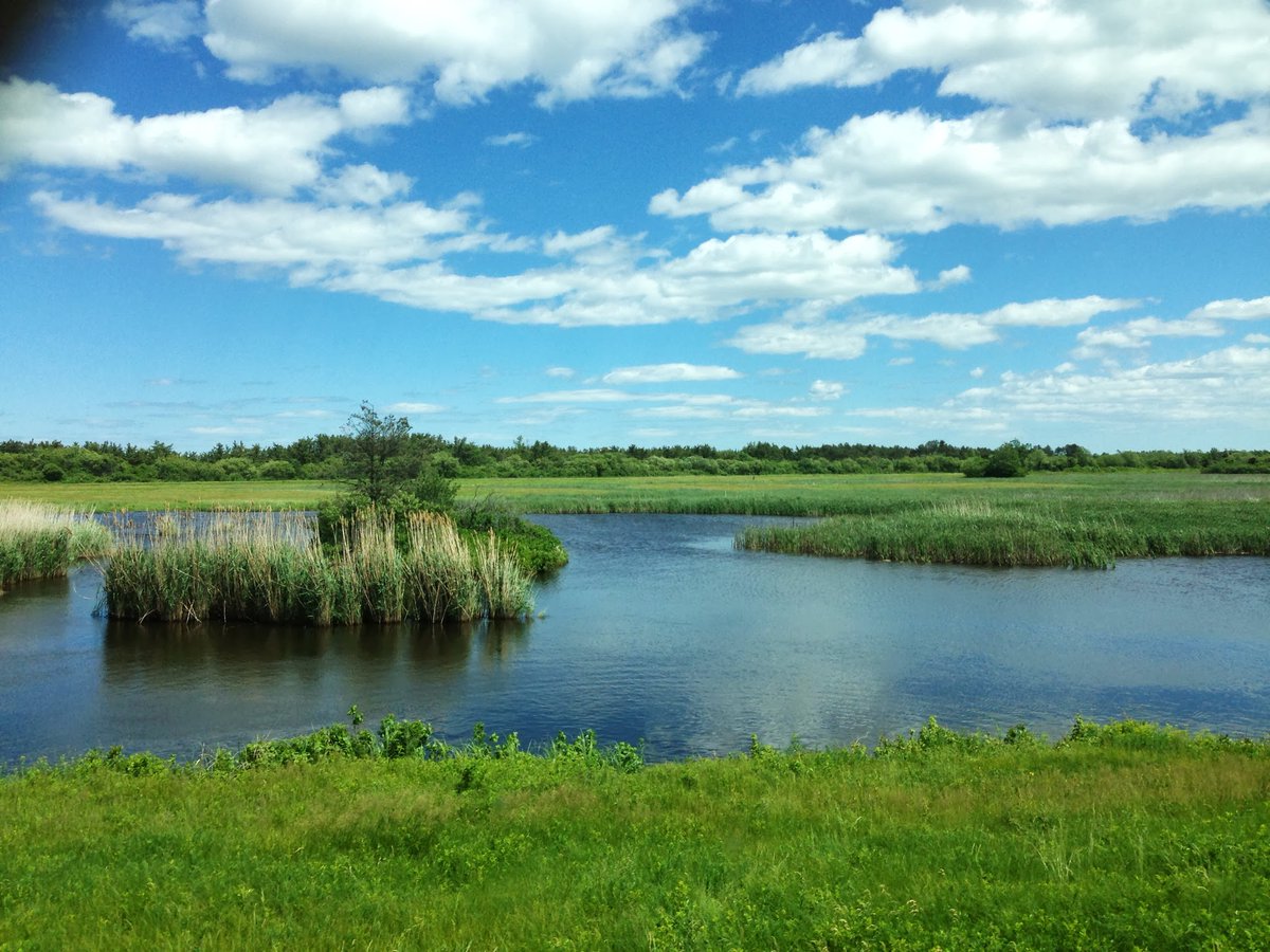 EPARegion1's tweet photo. EPA’s #NationalEstuaryProgram works to protect nationally significant estuaries from nutrient pollution that can cause harmful algae blooms and red or brown tides.
Photo: Plum Island's Parker River Wildlife Refuge along the coast of Mass.
More info: https://t.co/AkZcgFpmKs https://t.co/e3VAWCALTM