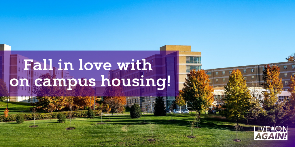 If you want more of the on campus experience, live on again!
jmu.edu/orl/housing/up…
#fallinlove #JMU25 #JMU24 #JMU23 #JMUParents #JMU #JMUHousing #DukesLIVEON #LIVEONAgain