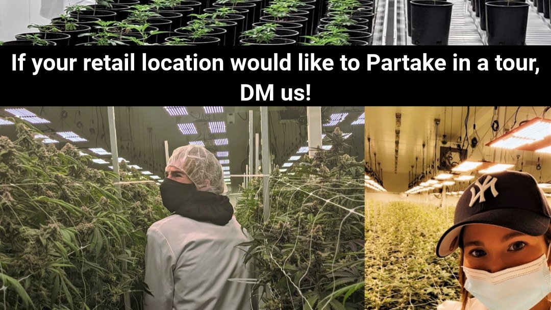 Tour days! <a href="/RoyalStCannabis/">Royal Street Cannabis</a> <a href="/ArgyllPlaza/">Spiritleaf Argyll Plaza</a> #realcraftflower