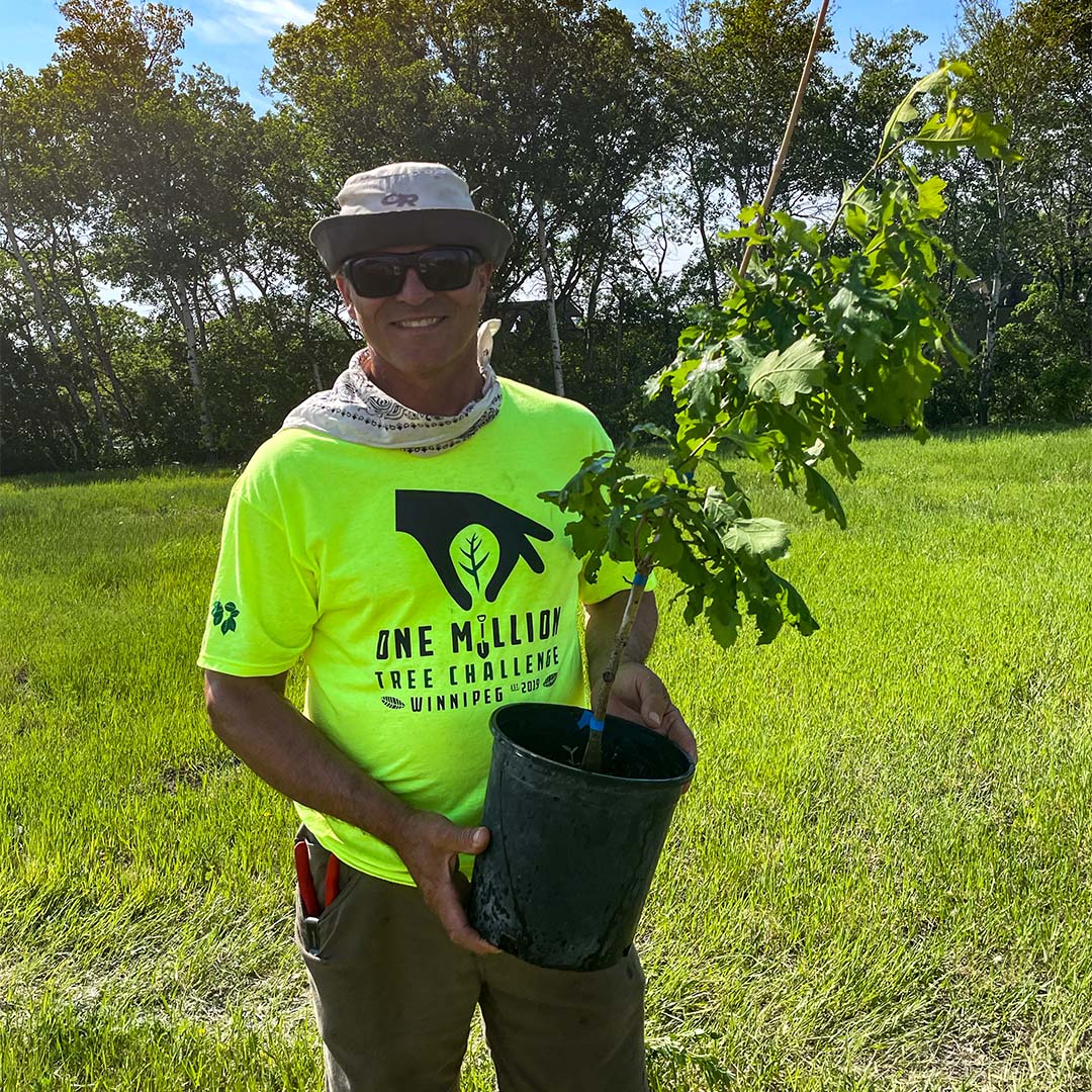 TreesWinnipeg's tweet photo. It's time to plant some trees! ๐ณ ๐ณ ๐ณ
We're partnering with @TreeCanada to hold a National Tree Day Celebration & Tree Planting @FortWhyteAlive!
Arborist Gerry Engel, along with volunteers and students will plant for a greener Winnipeg. #MillionTreeWPG #PledgeToPlant https://t.co/aTDXDlzo8o